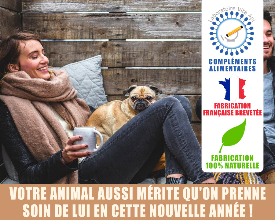 VOTRE ANIMAL AUSSI MÉRITE QU'ON PRENNE SOIN DE LUI EN CETTE NOUVELLE ANNÉE !